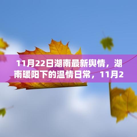 湖南温情日常，城市轻语与友情涟漪（11月22日最新舆情）