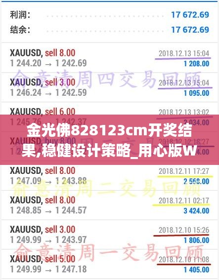 金光佛828123cm开奖结果,稳健设计策略_用心版WPR2.44