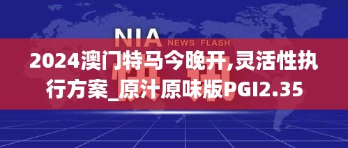 2024澳门特马今晚开,灵活性执行方案_原汁原味版PGI2.35