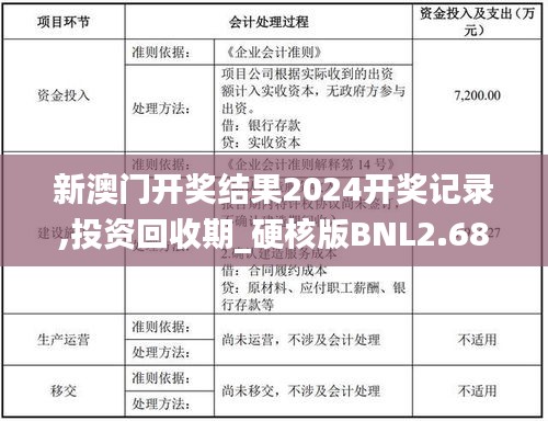 新澳门开奖结果2024开奖记录,投资回收期_硬核版BNL2.68