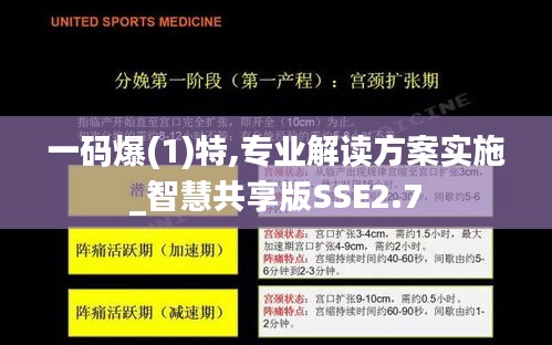 一码爆(1)特,专业解读方案实施_智慧共享版SSE2.7