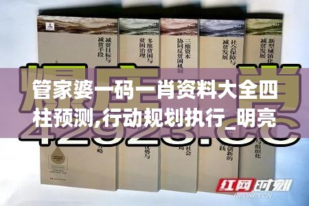 管家婆一码一肖资料大全四柱预测,行动规划执行_明亮版ZSS2.1