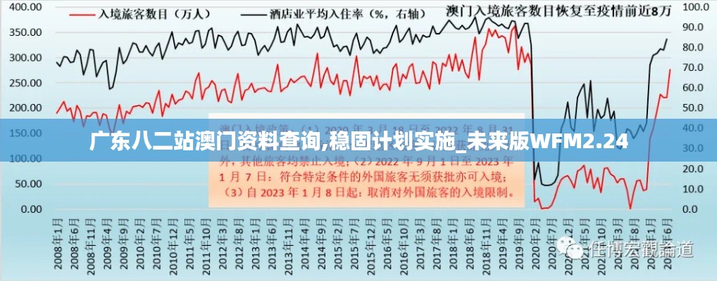 广东八二站澳门资料查询,稳固计划实施_未来版WFM2.24