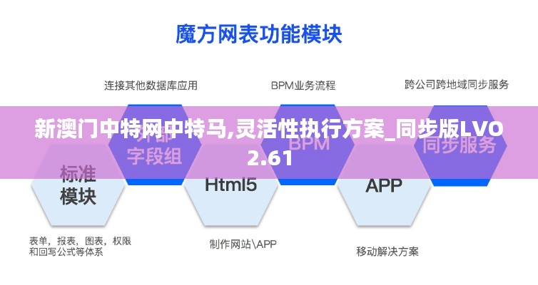 新澳门中特网中特马,灵活性执行方案_同步版LVO2.61