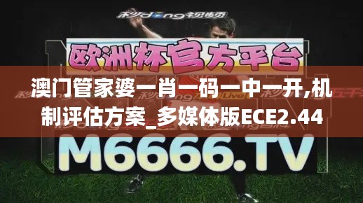 澳门管家婆一肖一码一中一开,机制评估方案_多媒体版ECE2.44