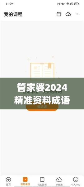 管家婆2024精准资料成语平特,数据指导策略规划_跨界版VCT2.27