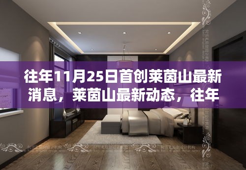莱茵山最新动态揭秘，深度解析往年11月25日首创消息及最新进展