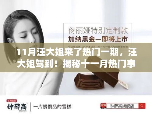 揭秘十一月热门事件背后的故事，汪大姐驾到！