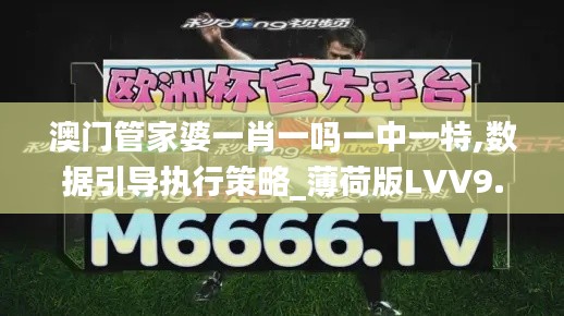 澳门管家婆一肖一吗一中一特,数据引导执行策略_薄荷版LVV9.46