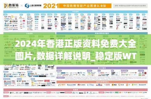 2024年香港正版资料免费大全图片,数据详解说明_稳定版WTG9.68