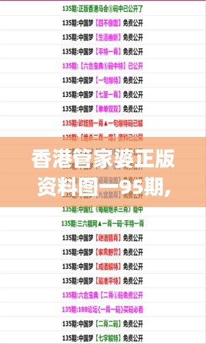 香港管家婆正版资料图一95期,系统分析方案设计_明亮版MAM9.74