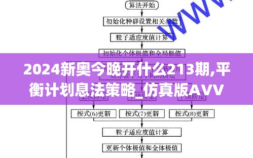 2024新奥今晚开什么213期,平衡计划息法策略_仿真版AVV9.2