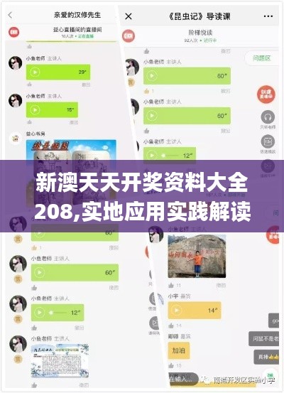 新澳天天开奖资料大全208,实地应用实践解读_结合版YAZ9.8
