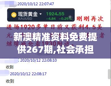新澳精准资料免费提供267期,社会承担实践战略_冒险版TCT9.17