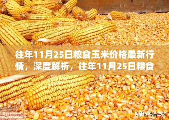 政企行业数字化软件 第378页