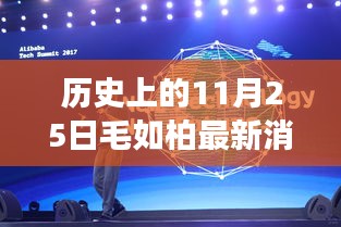历史上的11月25日揭秘毛如柏科技传奇，最新科技成果震撼曝光