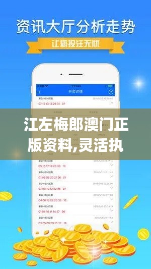 江左梅郎澳门正版资料,灵活执行方案_定向版VKA9.18