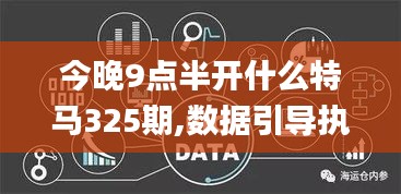 今晚9点半开什么特马325期,数据引导执行策略_黑科技版BGM9.43