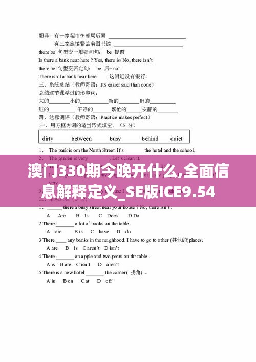 澳门330期今晚开什么,全面信息解释定义_SE版ICE9.54