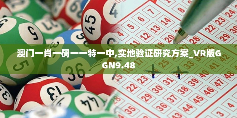 澳门一肖一码一一特一中,实地验证研究方案_VR版GGN9.48
