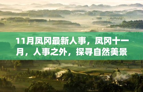 服务流程 第357页