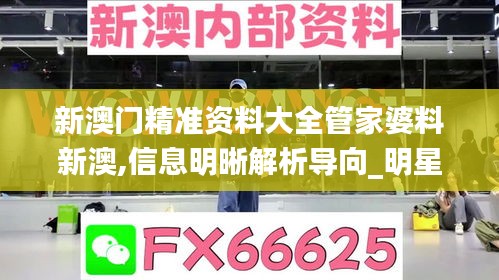 新闻动态 第356页