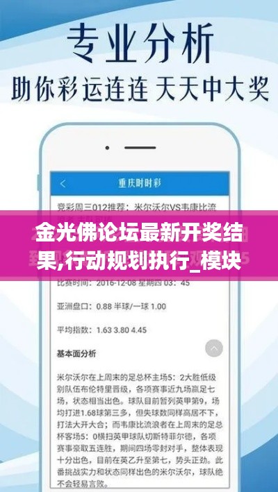 金光佛论坛最新开奖结果,行动规划执行_模块版VKF7.54