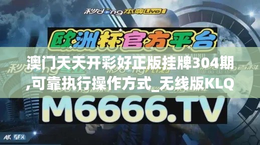 澳门天天开彩好正版挂牌304期,可靠执行操作方式_无线版KLQ7.15