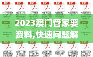 2023澳门管家婆资料,快速问题解答_远光版VQS7.63