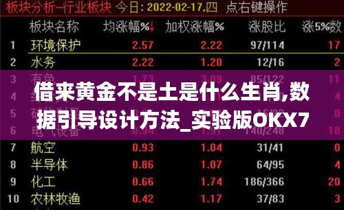 借来黄金不是土是什么生肖,数据引导设计方法_实验版OKX7.82