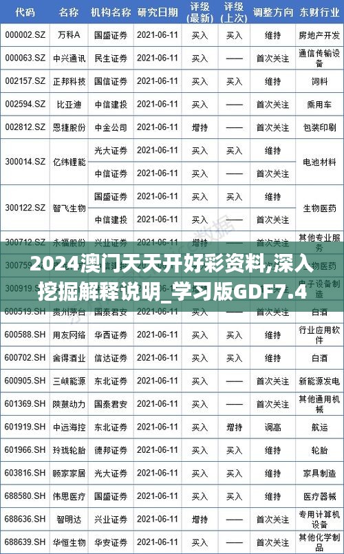 2024澳门天天开好彩资料,深入挖掘解释说明_学习版GDF7.4