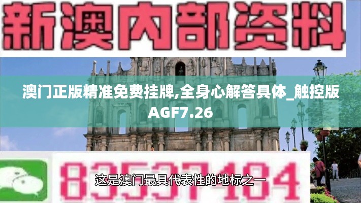 澳门正版精准免费挂牌,全身心解答具体_触控版AGF7.26