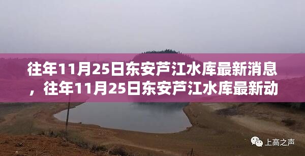 往年11月25日东安芦江水库最新动态概览