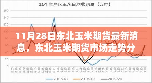 东北玉米期货市场走势分析与最新消息聚焦