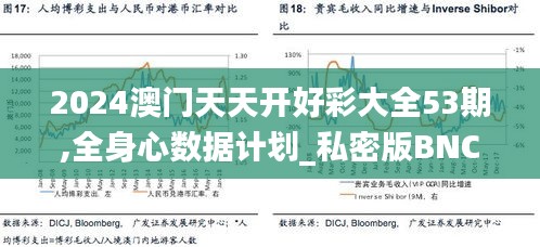 2024澳门天天开好彩大全53期,全身心数据计划_私密版BNC8.44