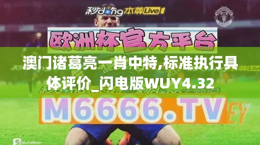 澳门诸葛亮一肖中特,标准执行具体评价_闪电版WUY4.32