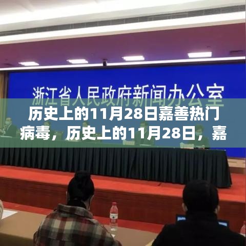 历史上的11月28日嘉善热门病毒全面评测与回顾