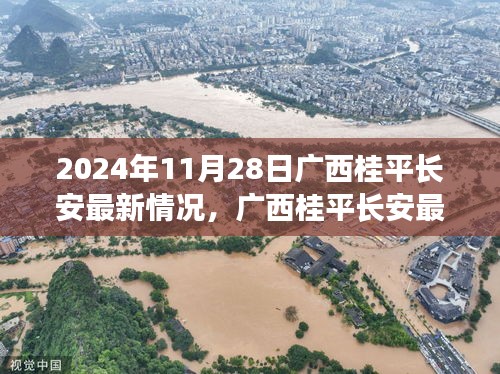 广西桂平长安最新动态，任务指南与一览（2024年11月28日）