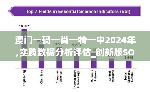 澳门一码一肖一特一中2024年,实践数据分析评估_创新版SOX98.833