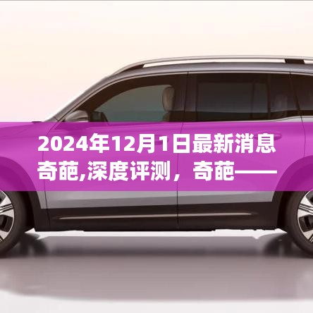 2024年12月最新消息奇葩产品全新登场，深度评测与消息速递