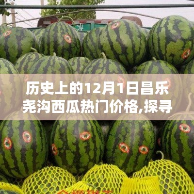新闻动态 第304页