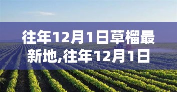 棒打出头鸟 第3页