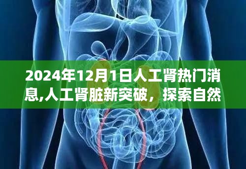 漫天飞舞 第4页