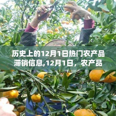杳无音讯 第4页