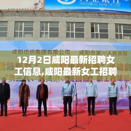 夯雀儿先飞 第4页