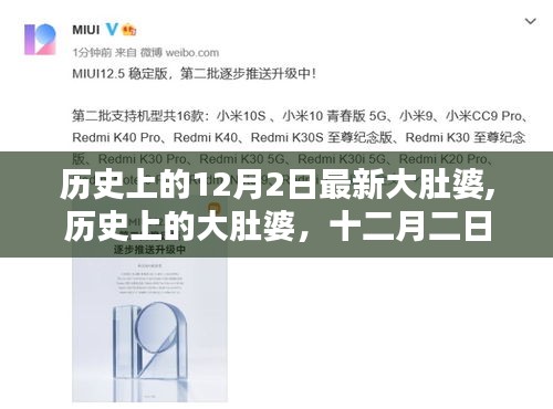 历史上的大肚婆，回望与反思的十二月二日故事