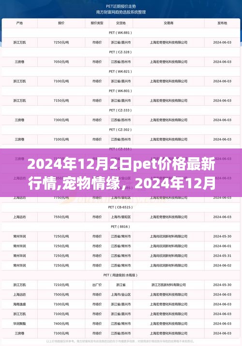 宠物情缘，揭秘宠物价格背后的故事与最新行情
