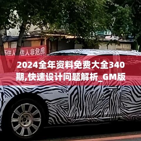 雍容华贵 第4页