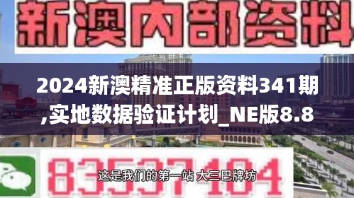 2024新澳精准正版资料341期,实地数据验证计划_NE版8.815