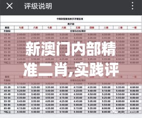 新澳门内部精准二肖,实践评估说明_Deluxe4.872